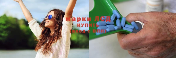 амф Алексин