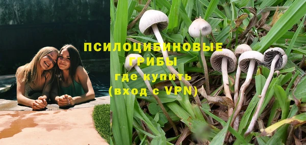 тгк Абдулино