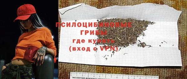 амф Алексин